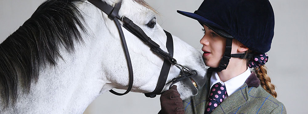 Highfield at Howe Grey horse